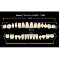 Зубы акриловые цвет A3.5 (T6, L7, M32) 28 шт. (NMA35T6M32), Yamahachi, Япония