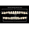 Зубы акриловые цвет B3 (S3,S4L, M30) 28 шт (NMB3S3M30), Yamahachi, Япония