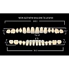 Зубы акриловые цвет B2 (T4, L4, M32) 28 шт. (NMB2T4M30), Yamahachi, Япония