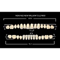 Зубы акриловые цвет A3 (T2, L2, M30) 28 шт. (NMA3T2M30), Yamahachi, Япония