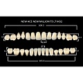 Зубы акриловые цвет A3.5 (T5, L7, M32) 28 шт. (NMA35T5M32), Yamahachi, Япония