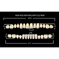 Зубы акриловые цвет A1 (T2, L2, M30) 28 шт. (NMA1T2M30), Yamahachi, Япония
