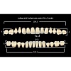 Зубы акриловые цвет A2 (T5, L7, M32) 28 шт. (NMA2T5M32), Yamahachi, Япония